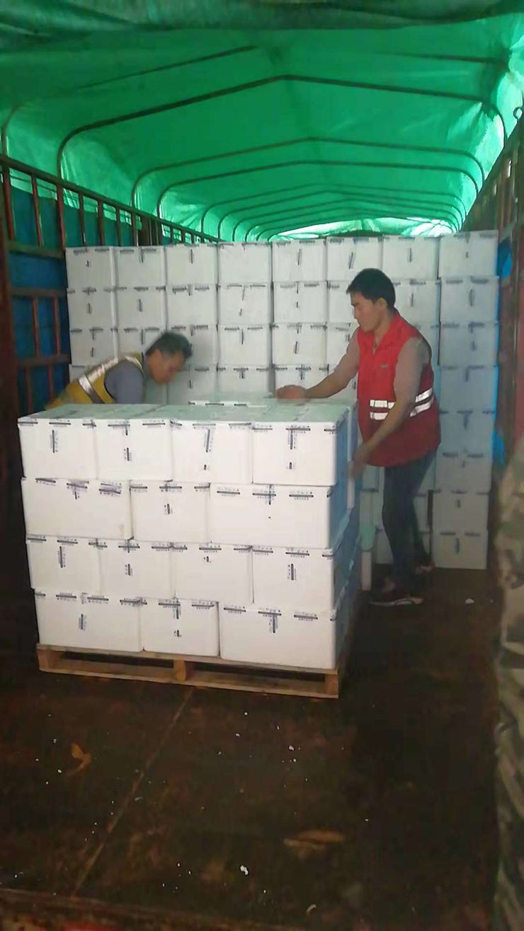 首页- 尊龙集团中国官方网站