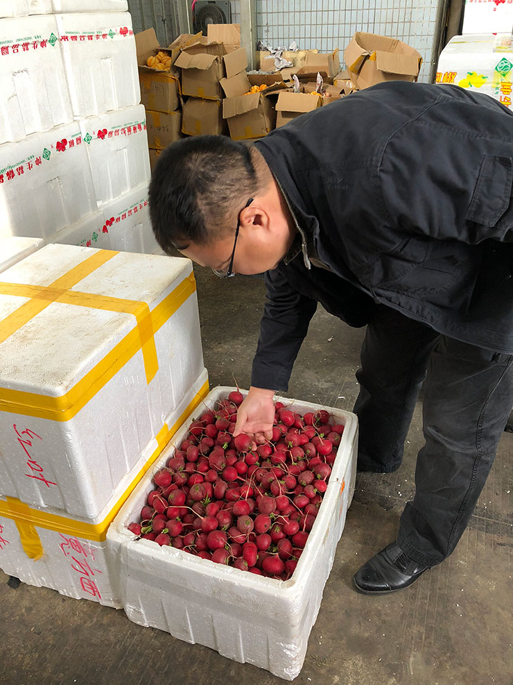 首页- 尊龙集团中国官方网站