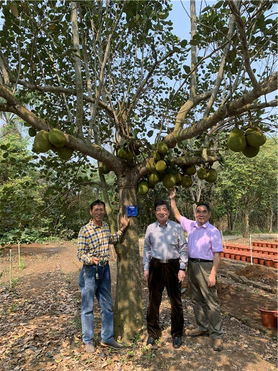 首页- 尊龙集团中国官方网站