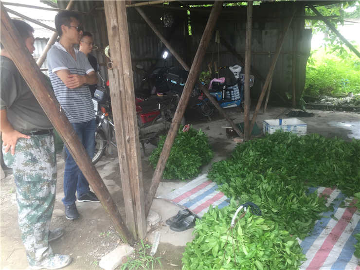 首页- 尊龙集团中国官方网站