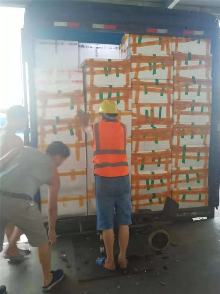 首页- 尊龙集团中国官方网站