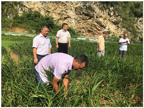 首页- 尊龙集团中国官方网站