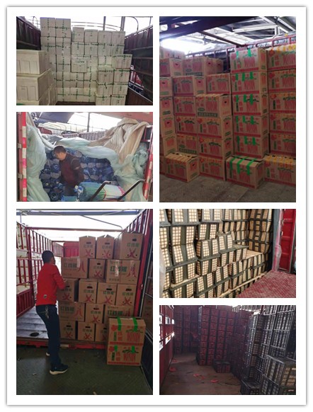 首页- 尊龙集团中国官方网站