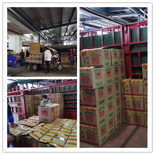 首页- 尊龙集团中国官方网站