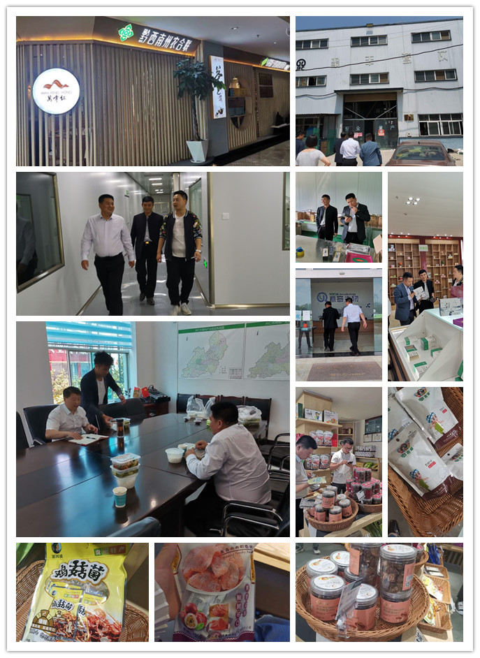 首页- 尊龙集团中国官方网站