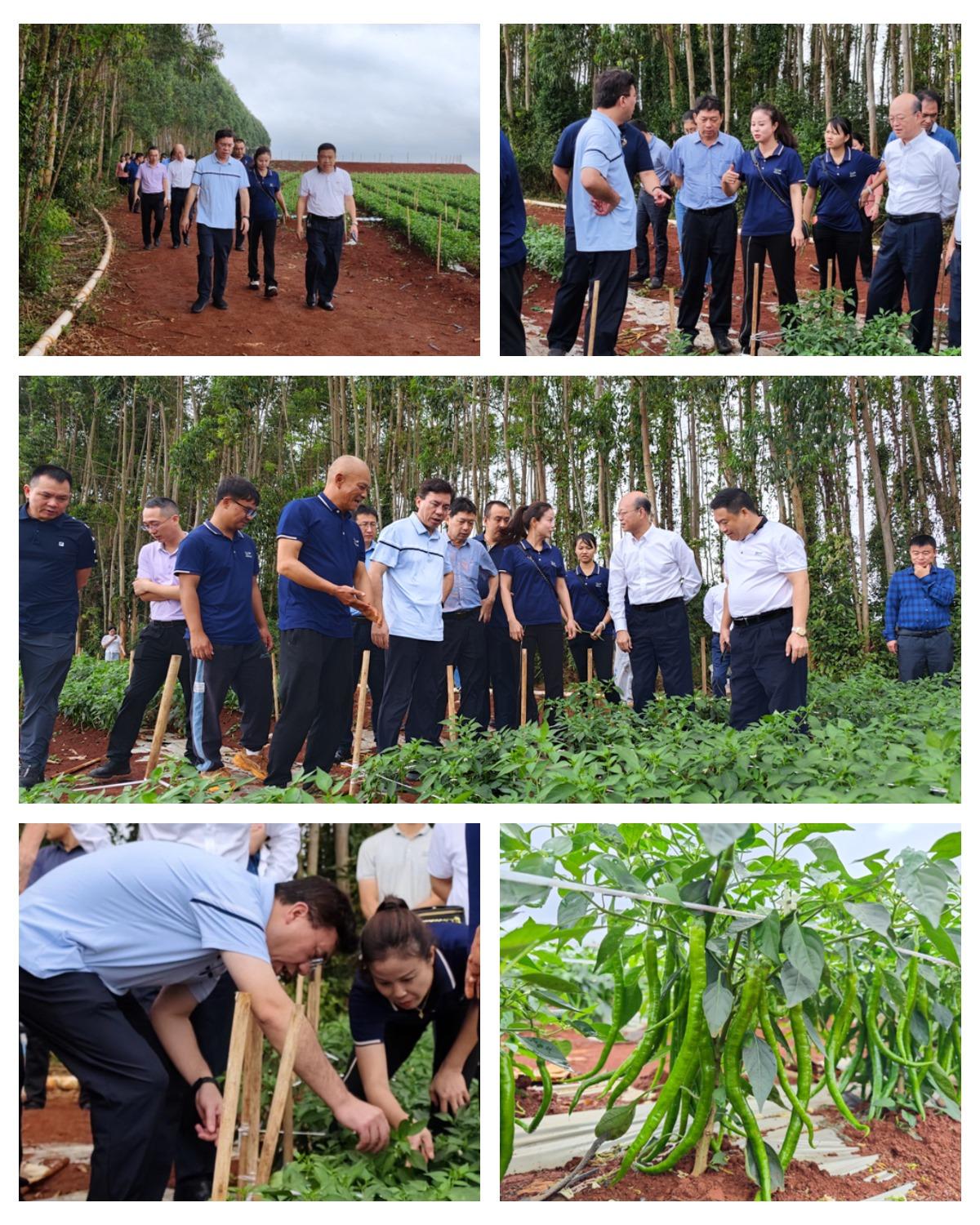 首页- 尊龙集团中国官方网站