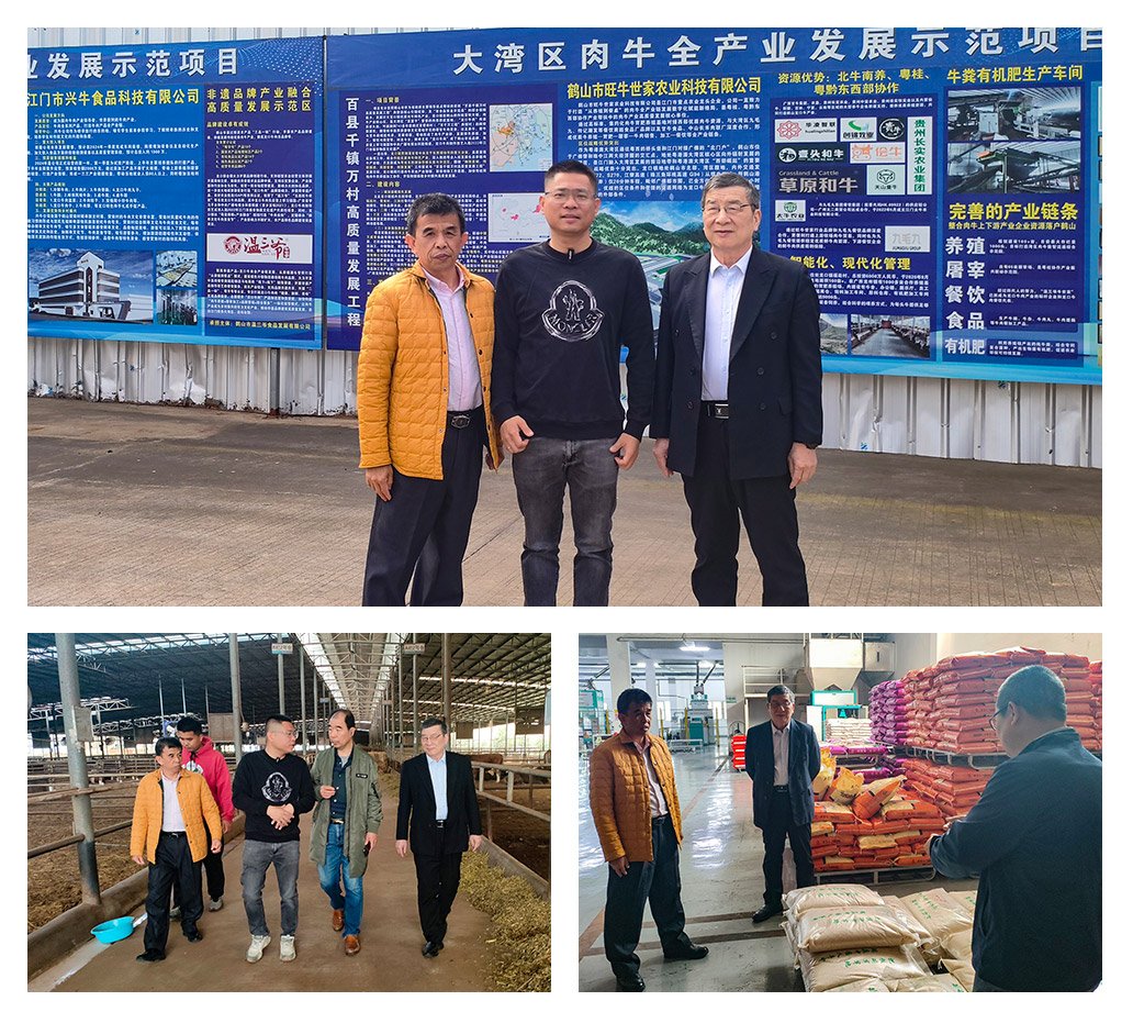 首页- 尊龙集团中国官方网站