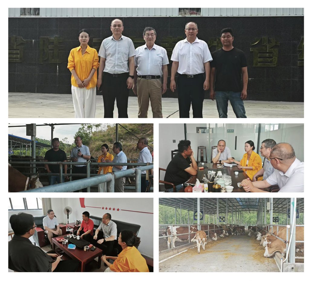 首页- 尊龙集团中国官方网站