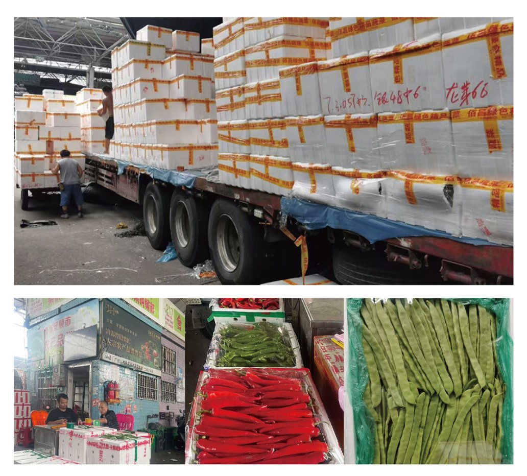 首页- 尊龙集团中国官方网站